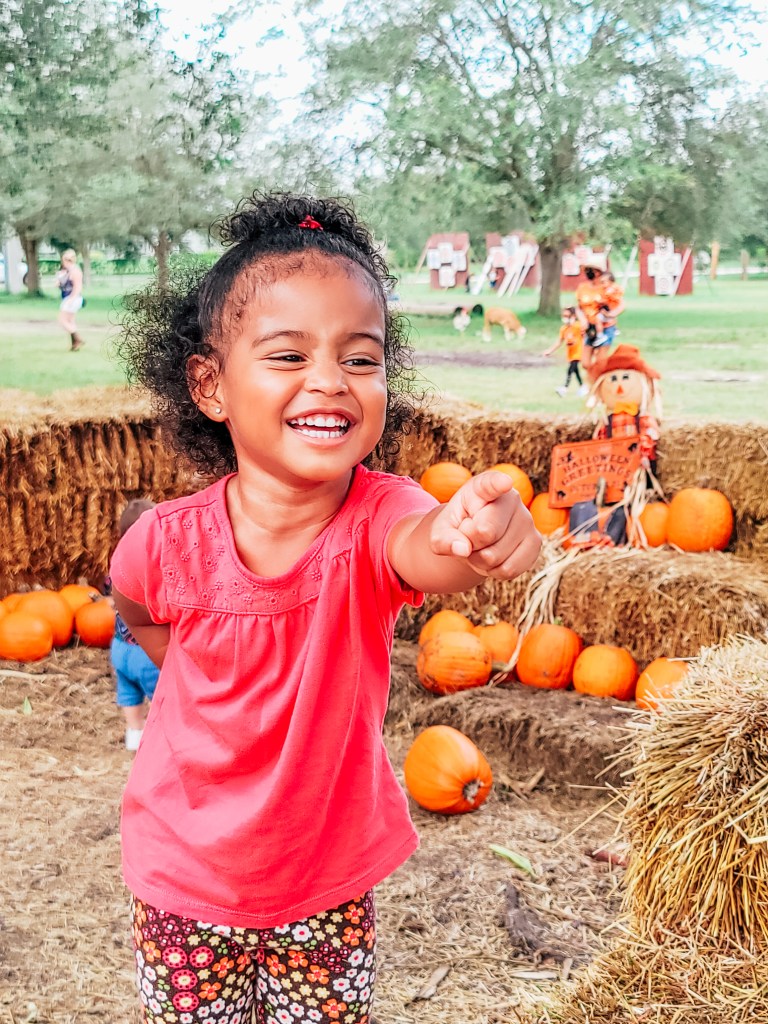 Pumpkin Patch For Toddlers